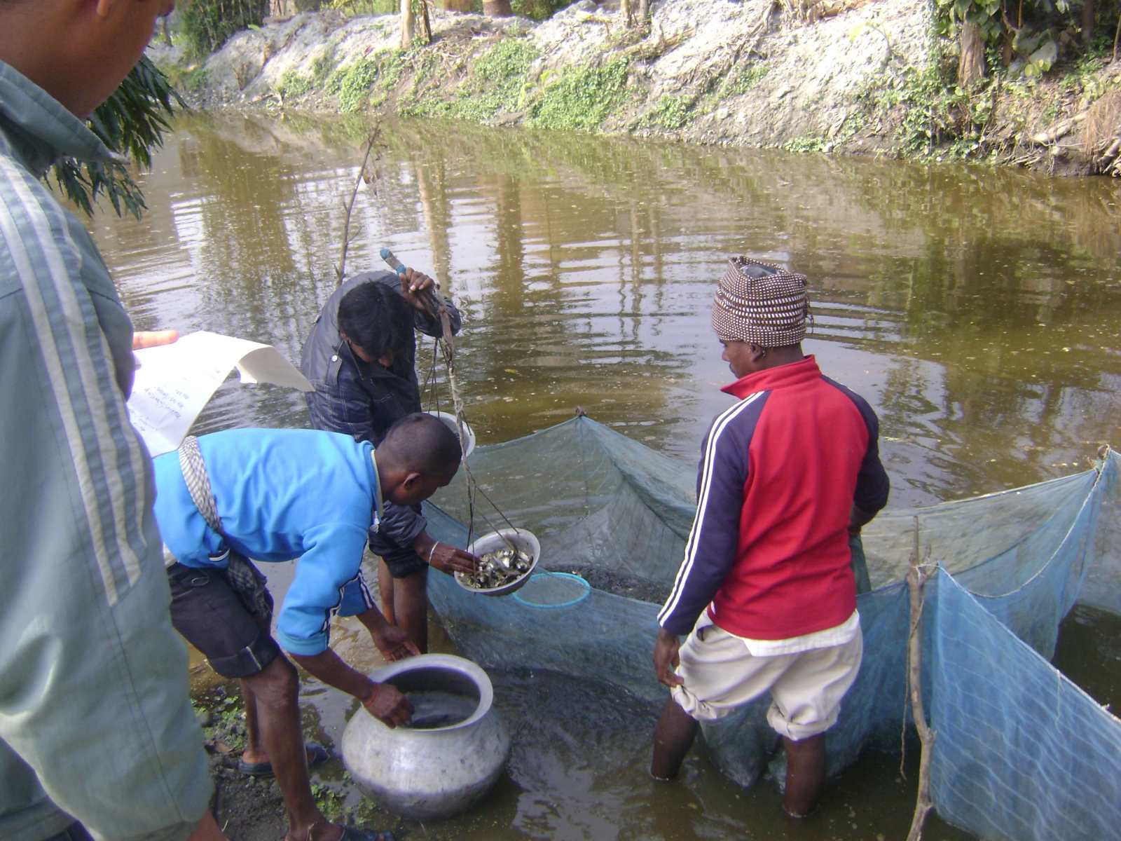 Livelihood-DEPROSC-5