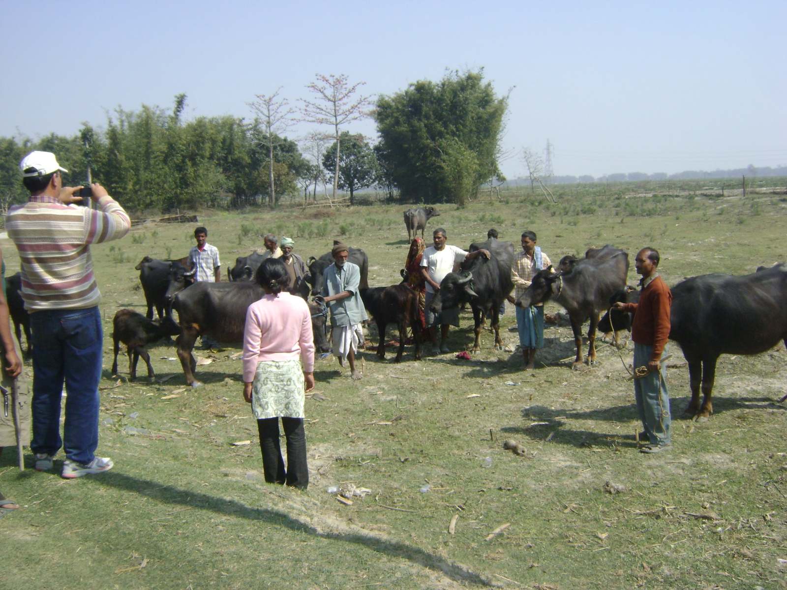 Livelihood-DEPROSC-6