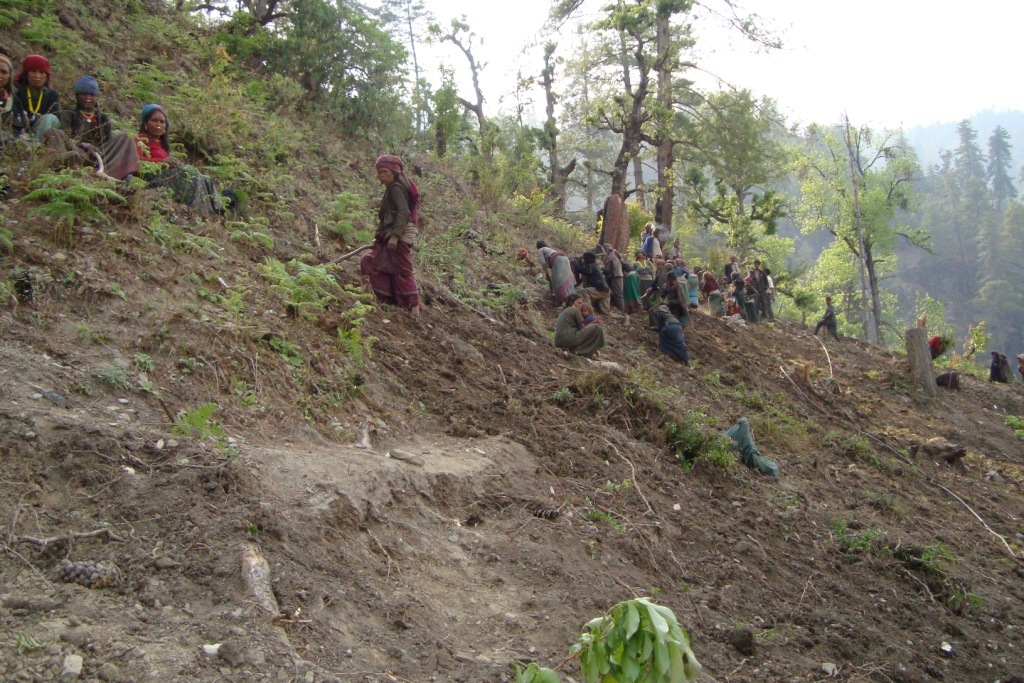 Dopasha-Apple-farm-and-land-development-Kalika-Humla-a