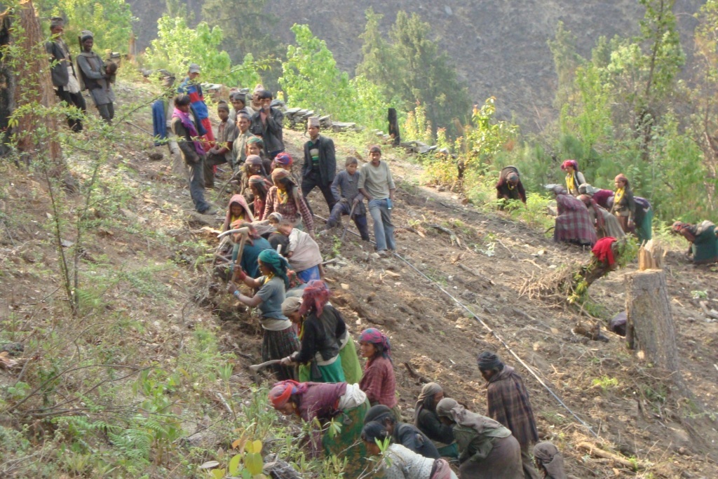 Dopasha-Apple-farm-and-land-development-Kalika-Humla-c
